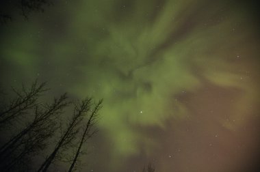 Kuzey ışıkları alberta Kanada