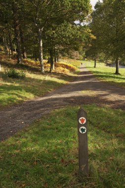 deneme bir park alanı üzerinden yürümek