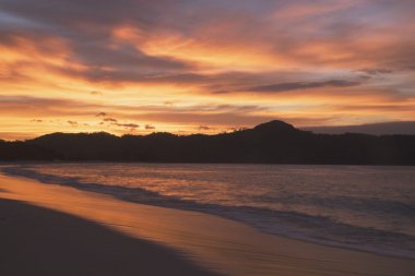 Tropikal çiçek, Kauai, Hawaii, ABD