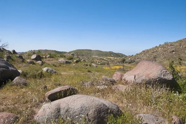 Scene In Riverside County — Stock Photo, Image