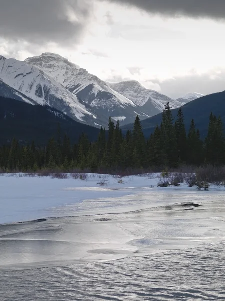 Paisagem de Inverno, Parque Nacional de Banff — Fotografia de Stock