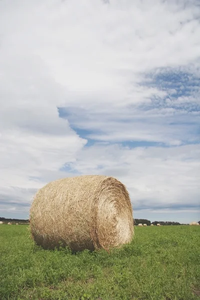 Hay Bale In A Green Field — Stock Photo, Image