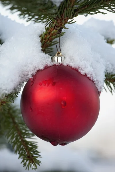 Red Ball Ornament — Stock Photo, Image