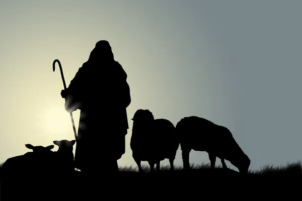 Silhueta de pastor e ovelhas — Fotografia de Stock