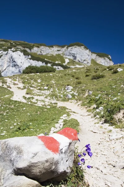 Sentiero marcature su un sentiero di montagna — Foto Stock