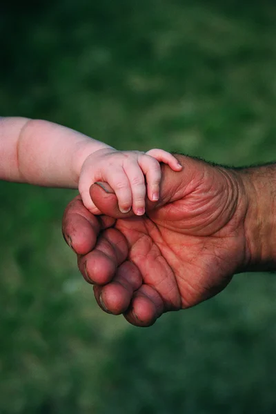 Primer plano de la mano del bebé sosteniendo la mano del hombre — Foto de Stock