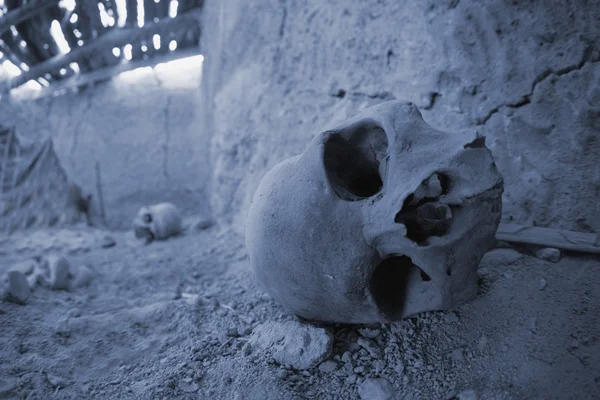 Teschio umano dentro una capanna, Oasi di Siwa, Egitto — Foto Stock