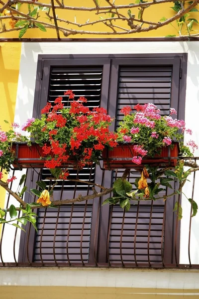 Flores rojas en un balcón — Foto de Stock