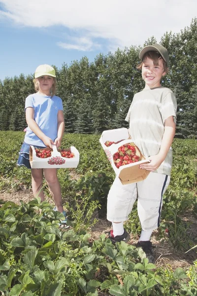 Junge und Mädchen mit Körben voller Erdbeeren — Stockfoto