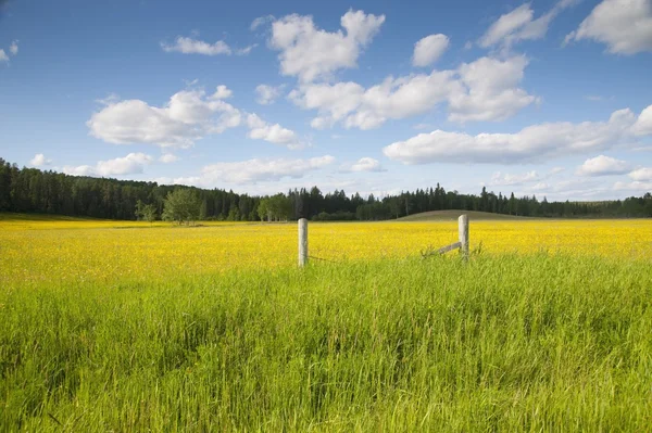 Rural Fence In Prairies, Manitoba, Canada — Stock Photo, Image