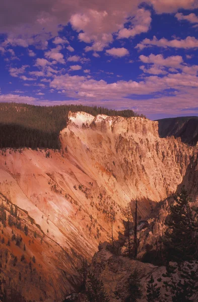 Yellowstone Büyük Kanyon — Stok fotoğraf