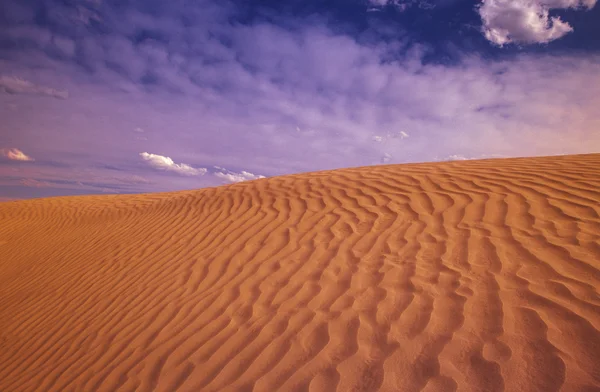 Collines de sable — Photo