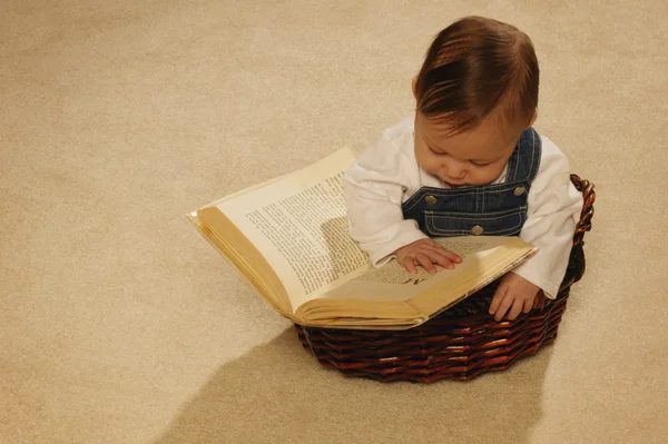 Baby lezen van een boek in een mand — Stockfoto