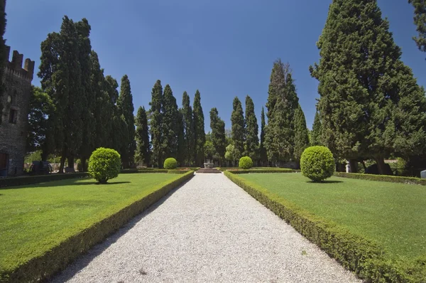 Chemin de gravier au centre d'un jardin . — Photo