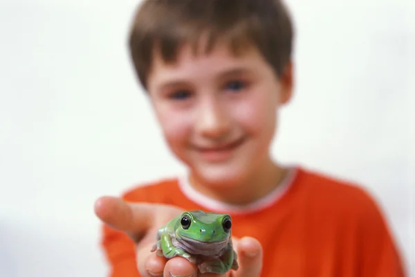 微笑む少年カエルを保持 — ストック写真