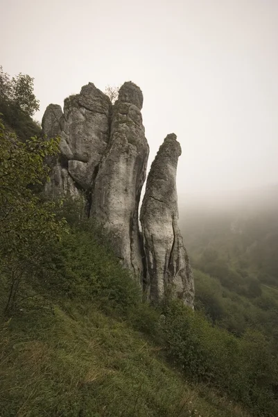 Felsformation im Nebel im Kobylanska-Tal — Stockfoto