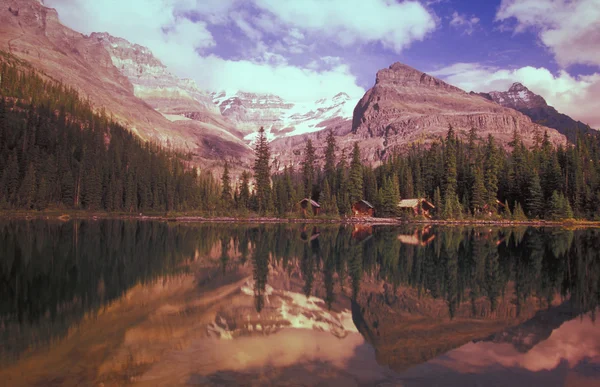 Majestueuse scène de montagne — Photo