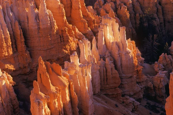 岩が多い峡谷 — ストック写真