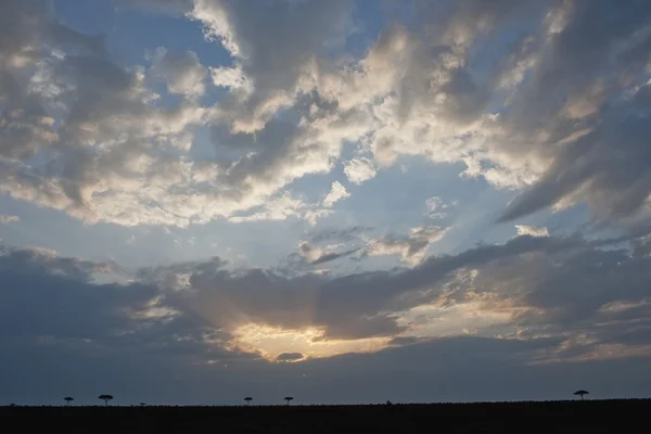 Bewolkt horizon, Kenia, Afrika — Stockfoto