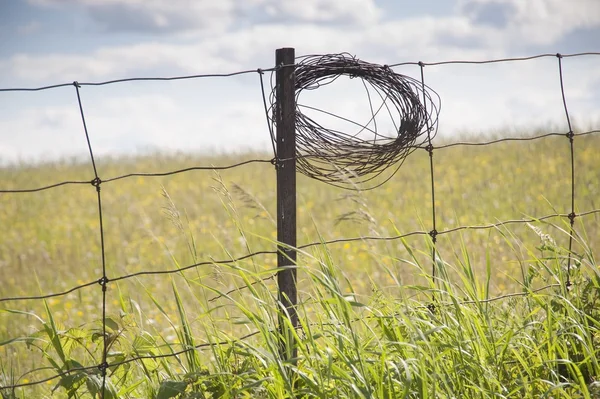 Role Of Wire On Fence Post — Stock Photo, Image
