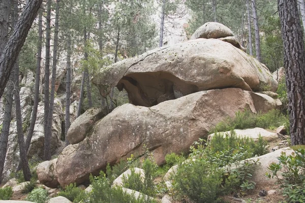 Formación de rocas en el bosque — Foto de Stock