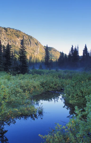 Fjällbäck — Stockfoto