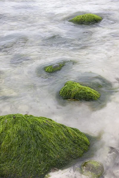 苔藓覆盖的岩石在水中 — 图库照片