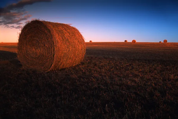 Bales Of Hay In Field — Stock Photo, Image