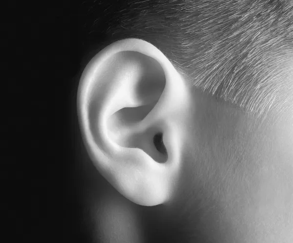 Oreja de joven persona en blanco y negro — Foto de Stock