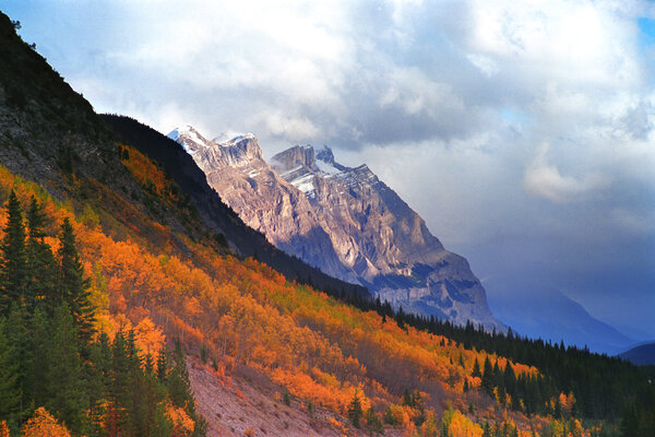 Mountain Slope In Fall