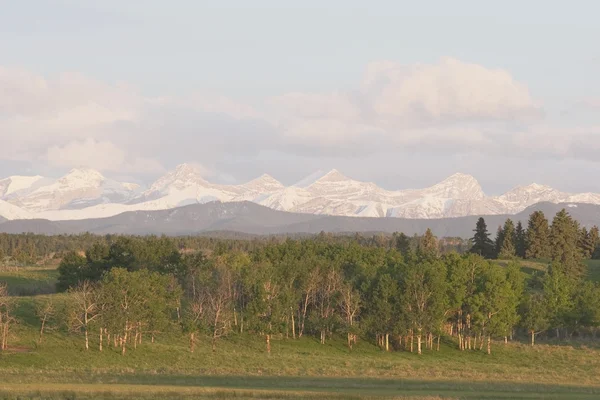 Góry w pobliżu calgary, alberta, canada — Zdjęcie stockowe