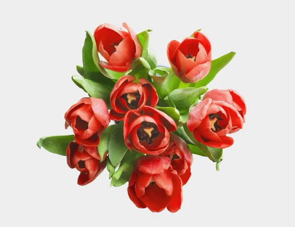 Bouquet Of Tulips — Stock Photo, Image