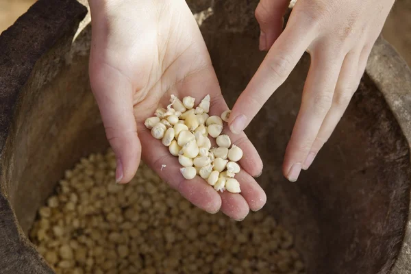 Una manciata di chicchi di mais. Manica, Mozambico, Africa — Foto Stock
