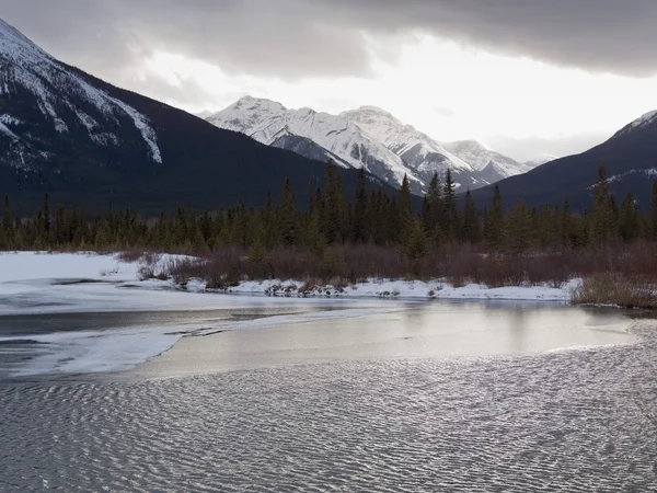 Paisaje de invierno, Parque Nacional Banff — Foto de Stock