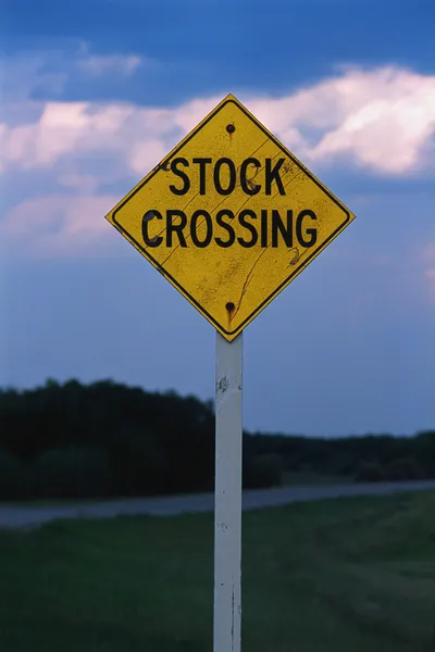 Sinal de cruzamento de estoque na estrada pequena — Fotografia de Stock