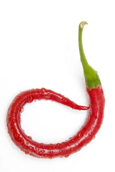 Πιπέρι κόκκινο jalapeno που έχει κατσαρώσει — Φωτογραφία Αρχείου
