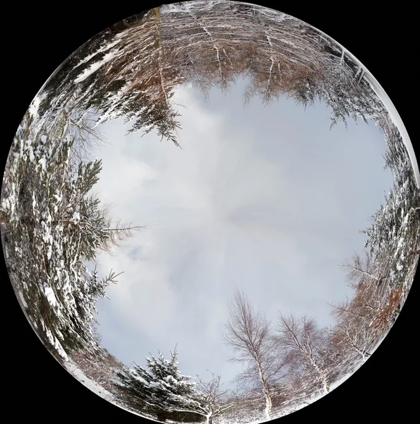 Bola reflejando bosque alrededor de sus bordes — Foto de Stock