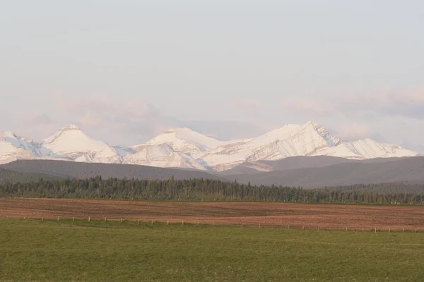 Bergen, calgary, alberta, canada — Stockfoto