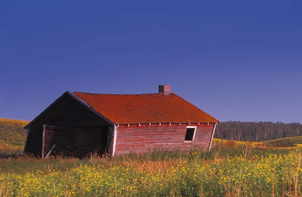 Eski bir çiftlik bina — Stok fotoğraf
