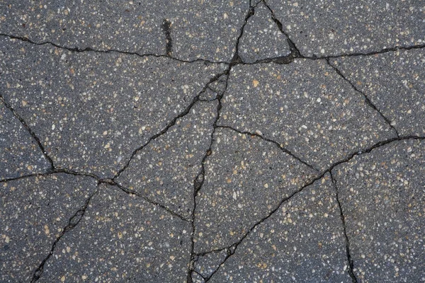 Cracked Sidewalk — Stock Photo, Image