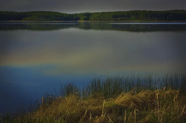 Stranden av en sjö och moln återspeglas i vattnet — Stockfoto