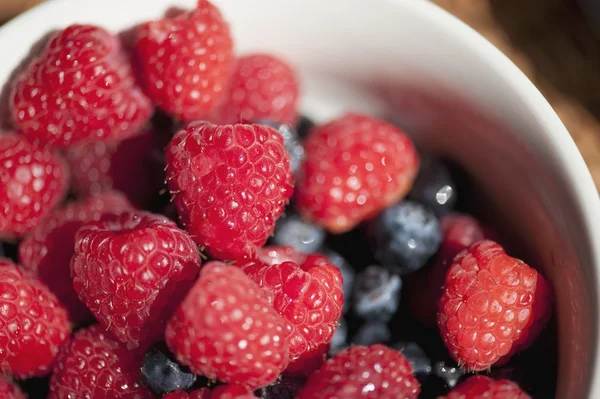 Schale mit Rapsbeeren und Blaubeeren — Stockfoto