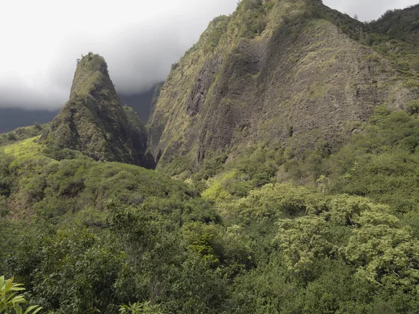 Холмы. Залив Хонокохау, Мауи, Гавайи, Сша — стоковое фото