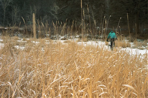 Rowerzysta w zimie przez wysokie trawy — Stockfoto