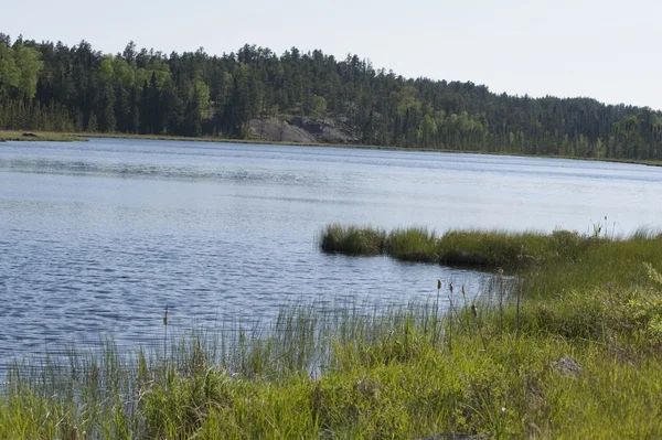 See landschaftlich, See der Wälder, Ontario, Kanada — Stockfoto