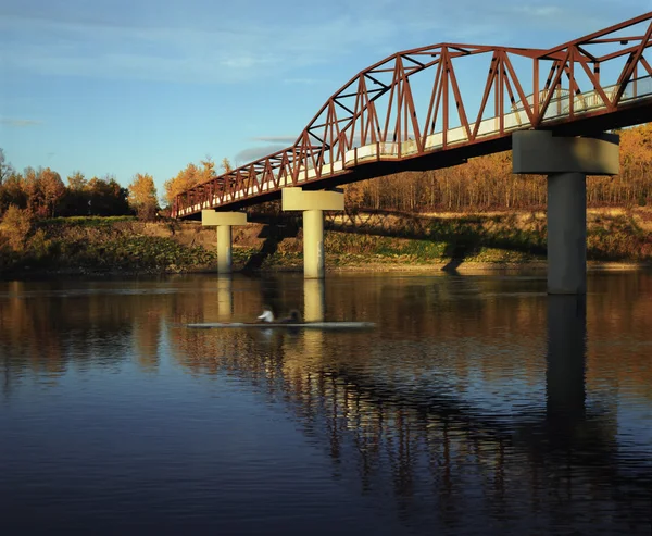 Kajakken onder brug — Stockfoto