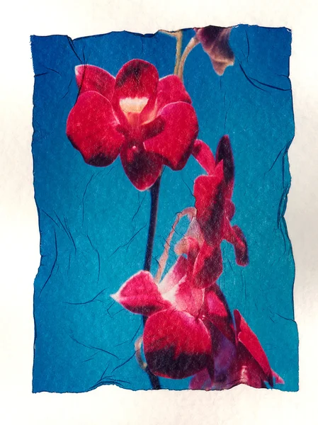 Bloemen op aquarel papier — Stockfoto