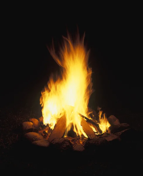 Campfire di notte — Foto Stock