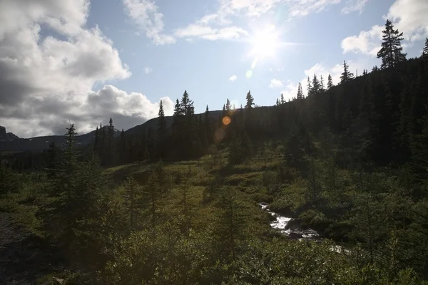 Back Country, Jasper National Park, Alberta, Canada — Stock Image Back Country, Jasper National Park, Alberta, Canada Stock Picture
