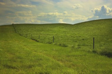 kaçarken yeşil bir alanda çit